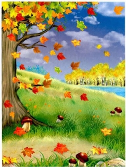 Матеріал для лепбука на тему &quot;Осінь&quot; | Осенние картинки, Природные явления,  Детские картины